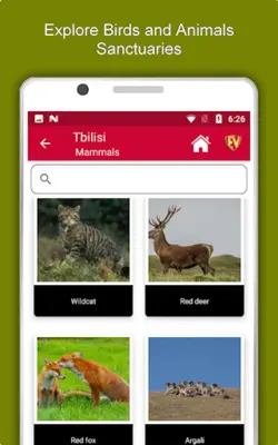 Tbilisi android App screenshot 3